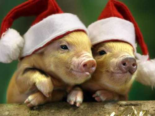 каким будет 2018