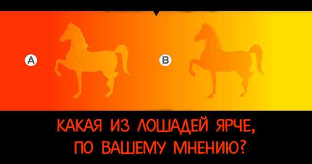 Психологический визуальный тест: какая лошадь ярче