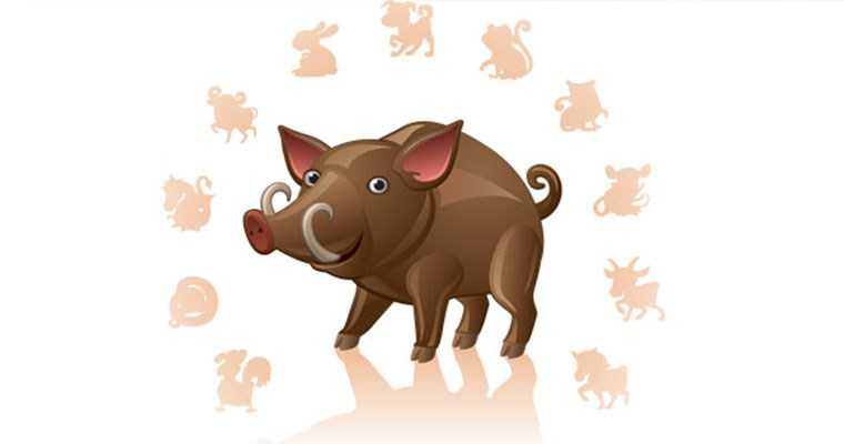 Шууточный гороскоп на 2019 год Свиньи по знакам зодиака в стихах