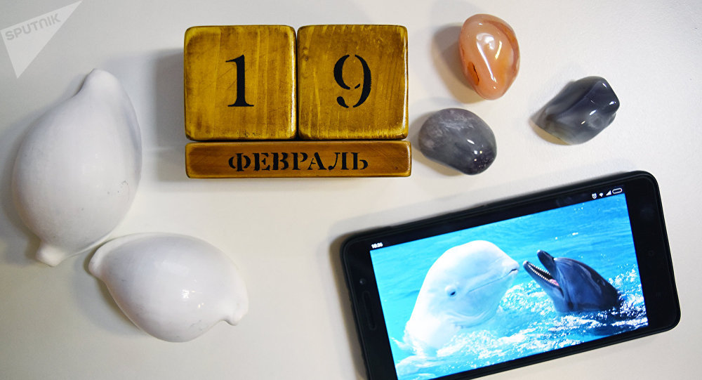 Праздники 19 февраля 2019 года