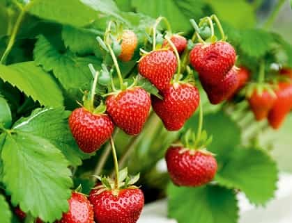 Праздники 9 июля 2019 года