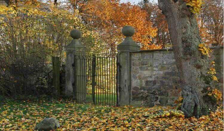 Необычный тест на уровень IQ "Найди женщину"