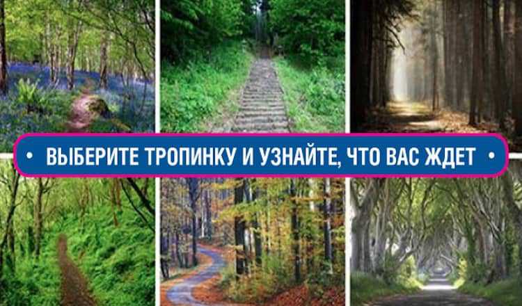Узнайте, что нас ждет выбрав тропинку!