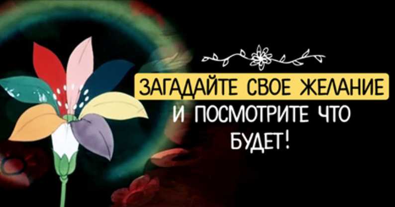 ЗАГАДАЙТЕ СВОЕ ЖЕЛАНИЕ И ПОСМОТРИТЕ ЧТО БУДЕТ. ВОЛШЕБНЫЙ ЦВЕТОК ИСПОЛНЯЕТ МЕЧТЫ