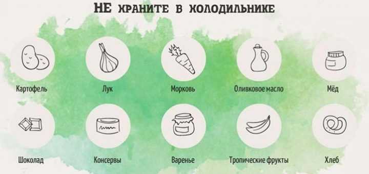 Какие продукты не нужно хранить в холодильнике