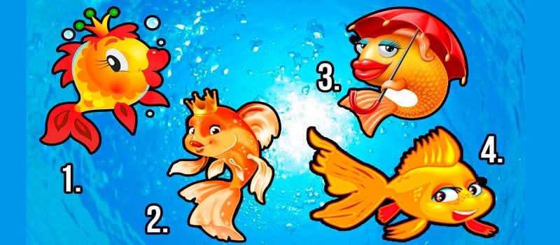 Гадание с помощью золотой рыбки