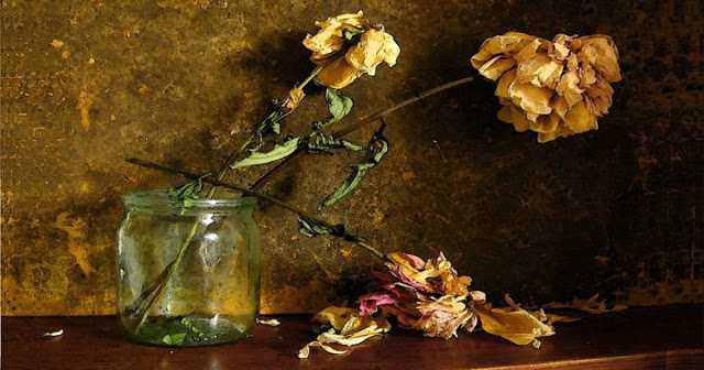 Какие вещи в доме блокируют денежную энергетику