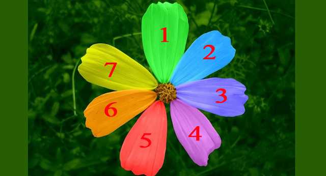 Лепесточек цветка желаний, расскажет когда задуманное исполнится