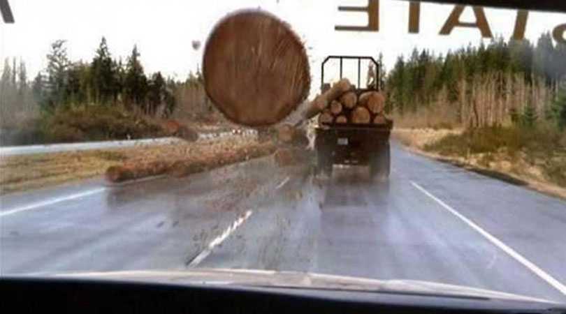 10 случаев, когда действительно повезло — никакого фотошопа
