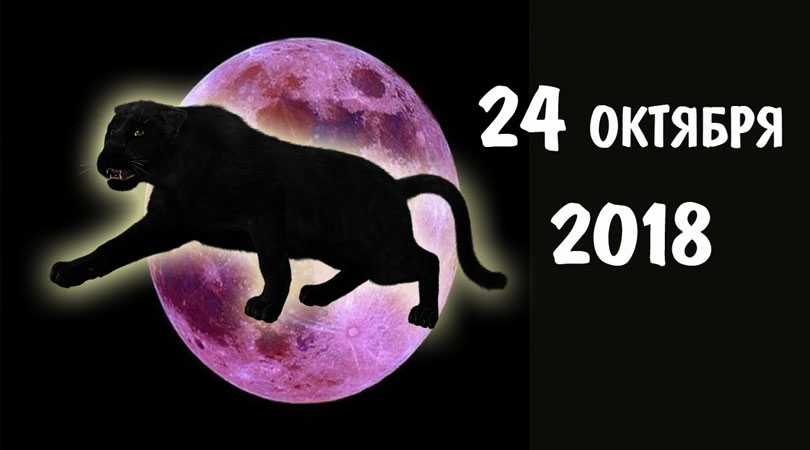 Полнолуние Пантеры 24 октября 2018 : что стоит сделать, чтобы догнать удачу