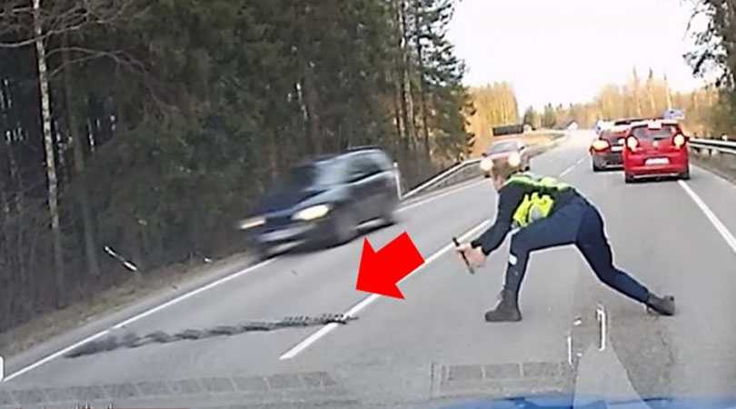 Полицейский из Эстонии эффектно остановил автомобиль наркомана