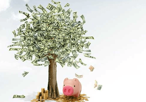 Денежное дерево и магия ухода за ним