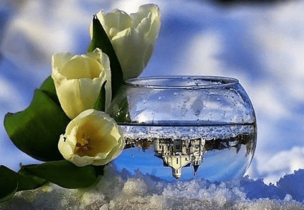 Начинайте каждый день с этого текста и ваша жизнь обретет новый смысл!