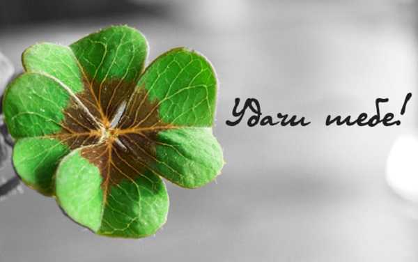 Слова удачи, которые вы должны знать наизусть!