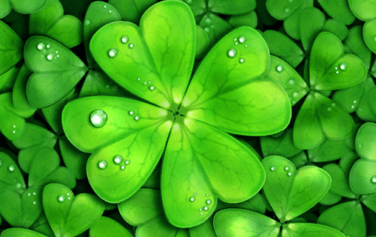 Заговоры на удачу в домашних условиях