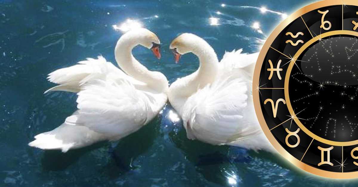 3 самых верных мужчины по знаку зодиака