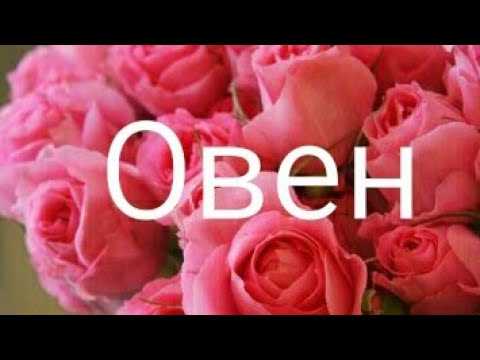 Неделя счастливых шансов для женщин с 26 ноября по 2 декабря 2018!