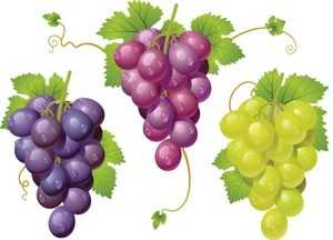 Привлекаем деньги в дом по фэн-шуй