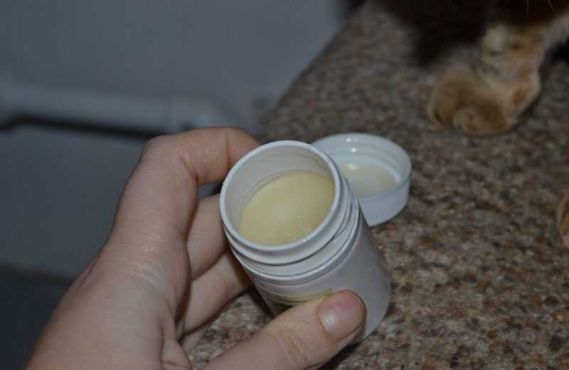 Барсучий жир: применение, от чего он помогает, лечебные свойства, формы выпуска