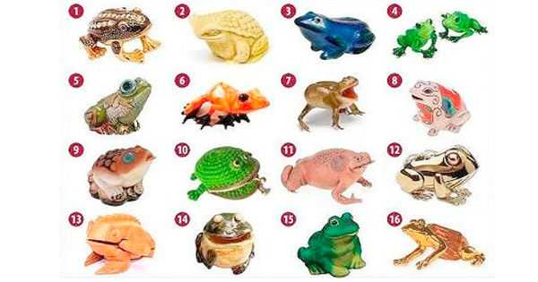 Ваш путь к богатству. Тест