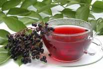 Бузина черная: лечебные и полезные свойства, противопоказания