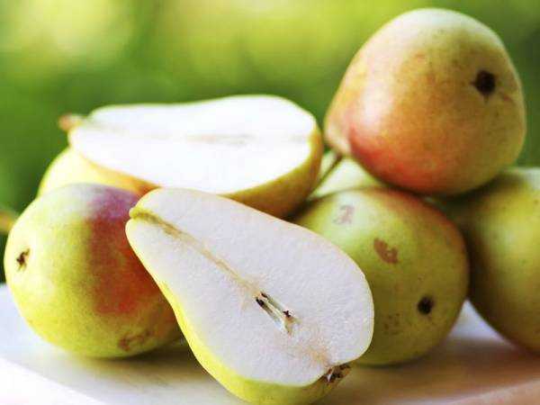 Груша: польза и вред для здоровья человека