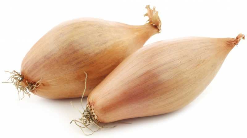 Чем полезен лук для организма человека