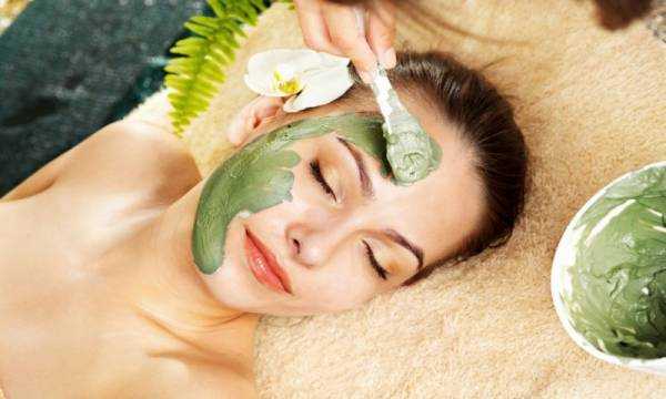 Базилик: полезные и лечебные свойства, применение, противопоказания