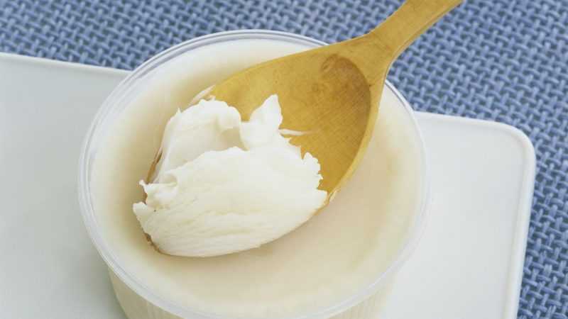 Барсучий жир: лечебные свойства и противопоказания, применение, и от чего он помогает