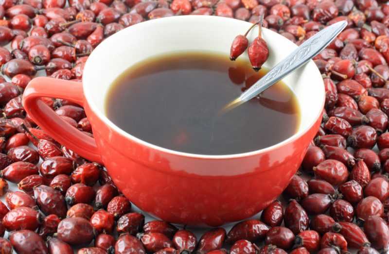 Чай из шиповника: полезные свойства и противопоказания, как правильно заваривать