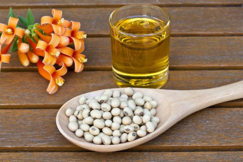 Соевое масло: польза и вред, применение в косметологии и в кулинарии, противопоказания