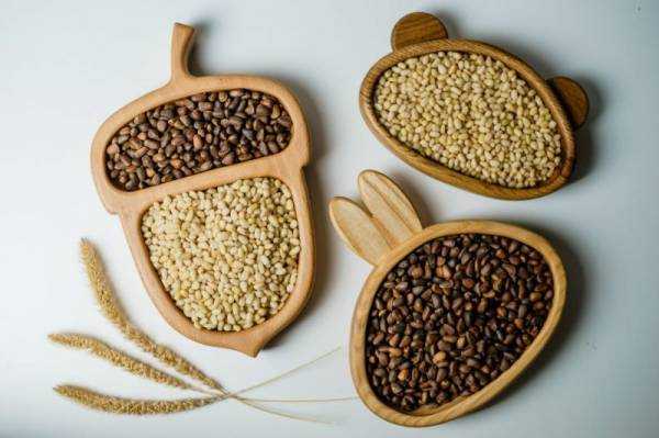 Кедровые орешки: полезные свойства и противопоказания, применение