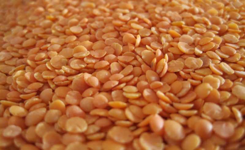 Чем полезна чечевица для организма человека