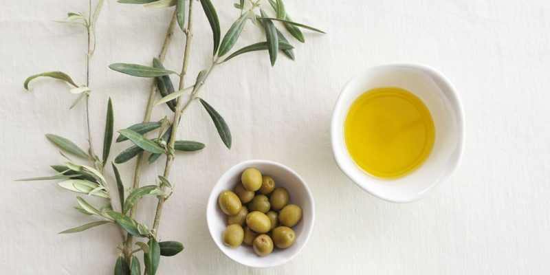 Оливковое масло (Olive Oil): полезные свойства и противопоказания