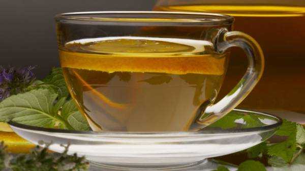 Лапчатка белая (Potentilla alba): применение в народной медицине, противопоказания