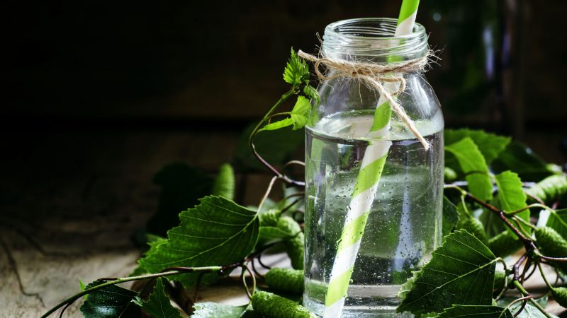 Чем полезен березовый сок? Полезные и лечебные свойства березового сока для организма, противопоказания