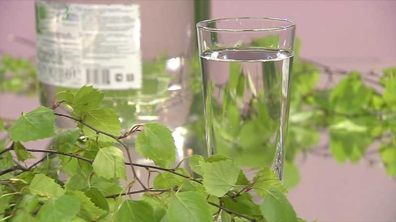 Чем полезен березовый сок? Полезные и лечебные свойства березового сока для организма, противопоказания