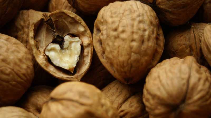 Перегородки грецких орехов – лечебные свойства и противопоказания, рецепты настоек и отваров