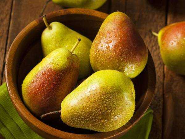 Груша: польза и вред для здоровья человека