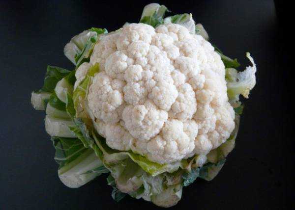 Цветная капуста: полезные и лечебные свойства для здоровья, противопоказания