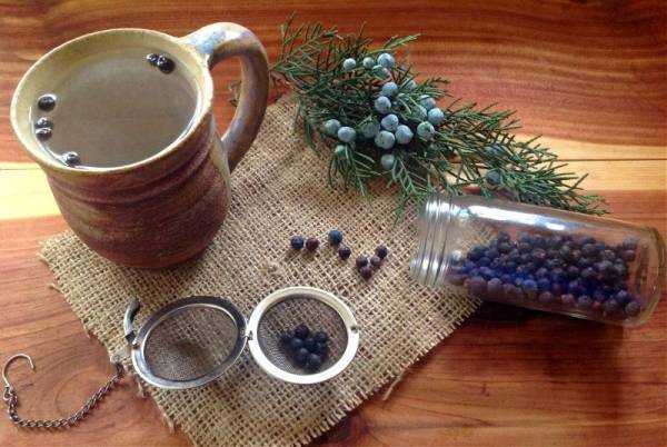 Ягоды можжевельника: лечебные и полезные свойства, противопоказания