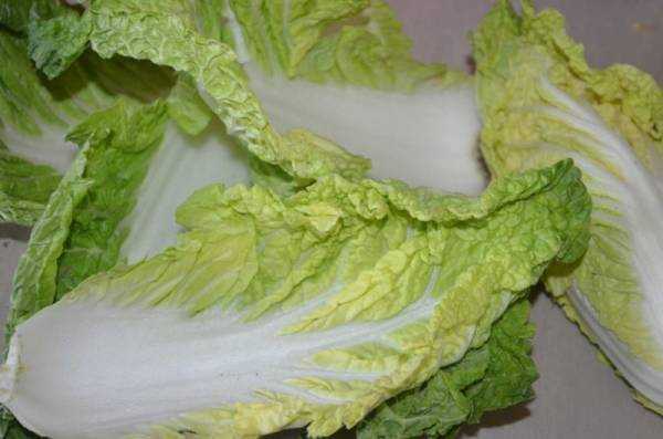 Пекинская капуста: польза и вред для здоровья человека