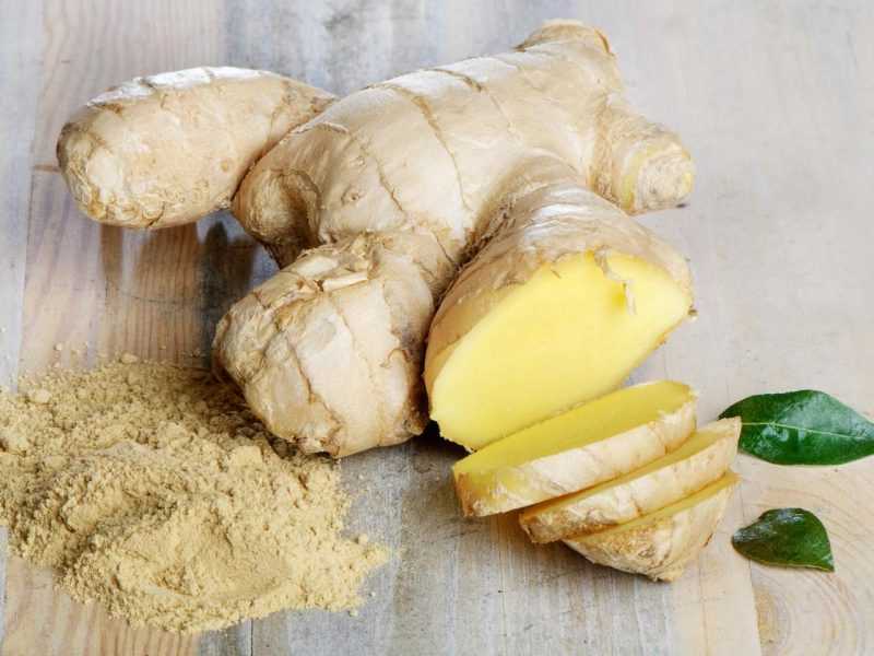 Можно ли беременным имбирь на ранних и поздних сроках беременности?