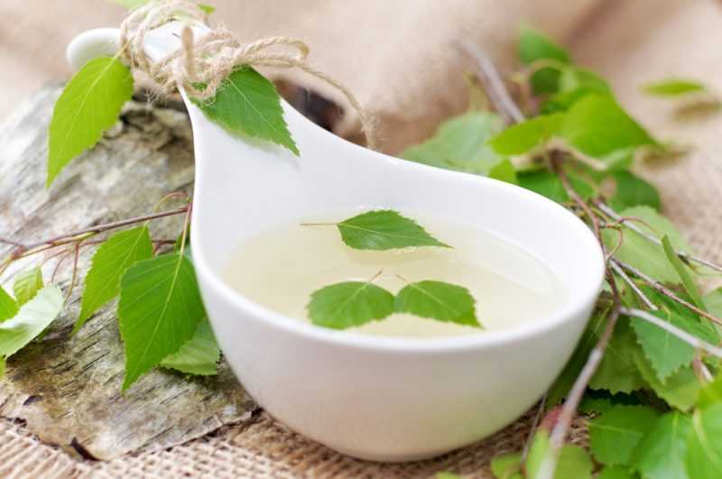 Березовый сок: польза и вред для организма человека, применение