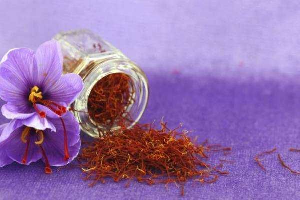 приправа saffron для каких блюд подходит. Смотреть фото приправа saffron для каких блюд подходит. Смотреть картинку приправа saffron для каких блюд подходит. Картинка про приправа saffron для каких блюд подходит. Фото приправа saffron для каких блюд подходит