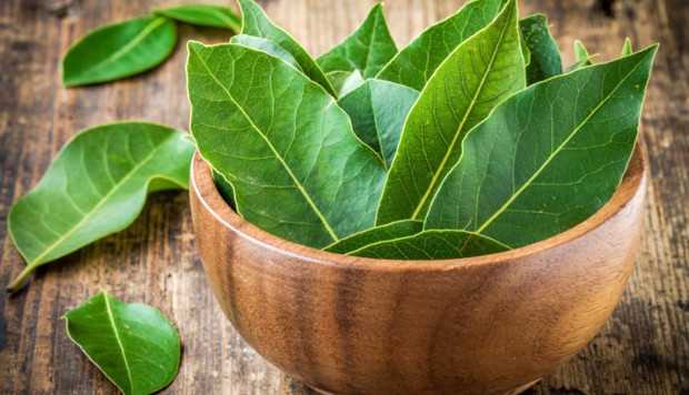Вы не поверите! Вот, зачем многие поджигают лавровый лист в доме!