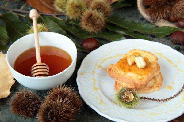 Каштановый мед: полезные свойства и противопоказания, как определить подделку