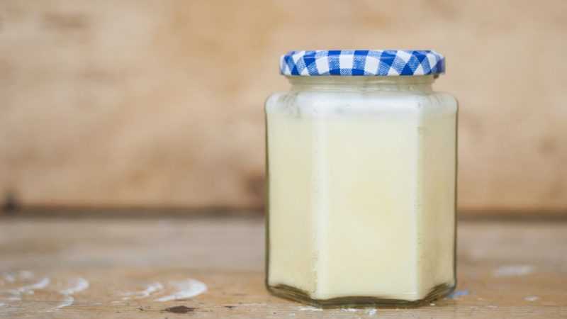 Барсучий жир: лечебные свойства и противопоказания, применение, и от чего он помогает