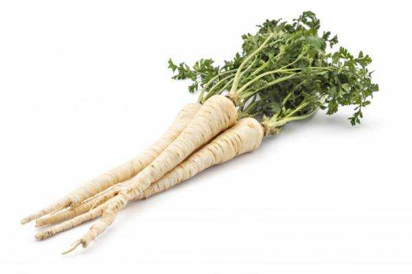 Корень петрушки: лечебные свойства и применение, противопоказания