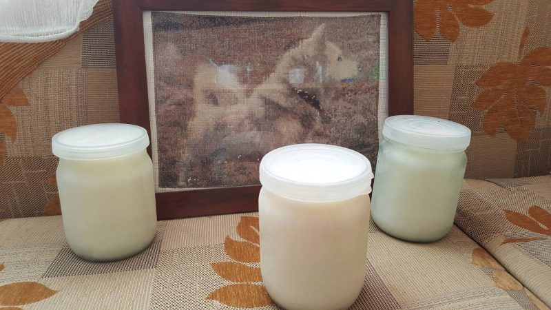 Барсучий жир: применение, от чего он помогает, лечебные свойства, формы выпуска